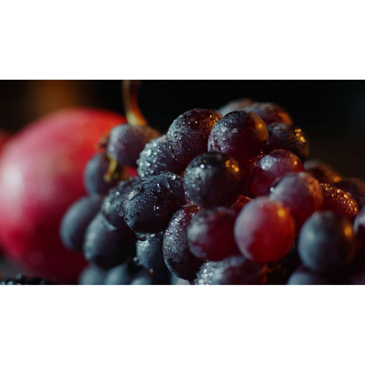 AEG - Integreeritav külmik-sügavkülmik - SCE819E5TS